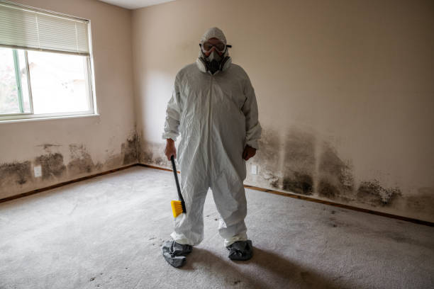 Best Toxic Mold Removal  in Abilene, TX