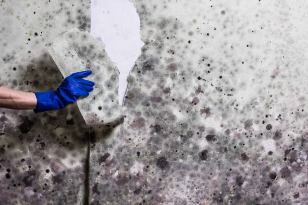 Water Damage Restoration in Abilene, TX