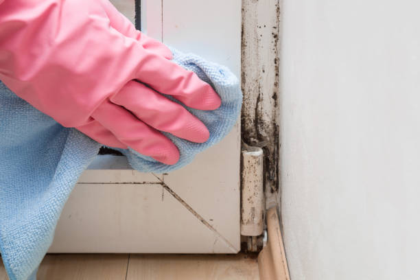 Water Damage Restoration in Abilene, TX